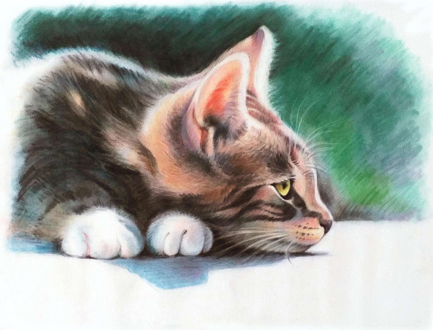 Personalized Photo Painting - Pastel - 1 Cat